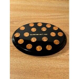 Vintage Yellowstone National Park Lucite Penny Paperweight‎ Slab 1974 Hyler USA